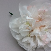 PIVOINE soie peint AM*F