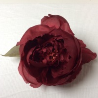 Pivoine-rouge-copie