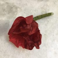 POPPY silk
