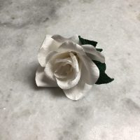 GARDENIA paper