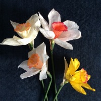 DAFFODIL paper & aquarelle