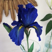IRIS BLUE paper