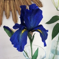 IRIS papier