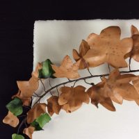 LIERRE feuilles parchemin
