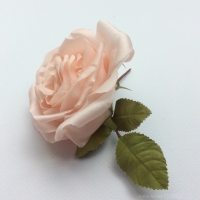 ROSE TEA